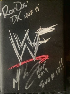 Almohadilla tensor NEW AGE OUTLAWS (Road Dogg & Billy Gunn) FIRMADA con certificado de autenticidad JSA - Imagen 1 de 6