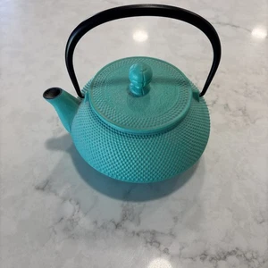 Colored Nambu Tekki Japanese Teapot kyusu Cast Iron iwachu blue Alaré 22oz - Picture 1 of 8