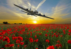B-17 Flying Fortress Sally B impresión en lona varios tamaños envío gratuito - Imagen 1 de 1