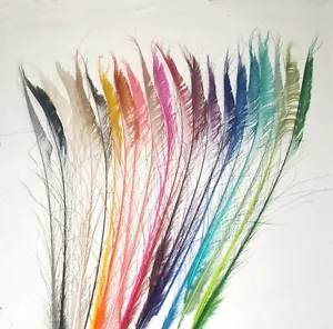 10 Peacock Sword Feathers 25-35" Length Bleached & dyed 21 Colors Available - Picture 1 of 39