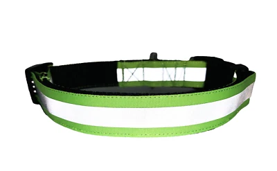 Collar reflectante verde neón para perro de 1 pulgada de ancho ajustable refleja la luz por la noche Foto 1 de 4