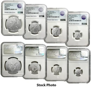 2023 Silver Eagle T-1 FIJI Fractional 4-Coin Set - ER - NGC MS70 – Beautiful! - Picture 1 of 3