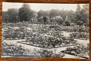 ROSE GARDENS, CHRISTCHURCH, NEW ZEALAND Antique c1920 TANNER Real Photo PostCard - Picture 1 of 2