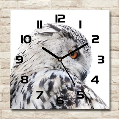 Tulup Horloge Murale En Verre 30x30 - Chouette Blanche - Photo 1/4