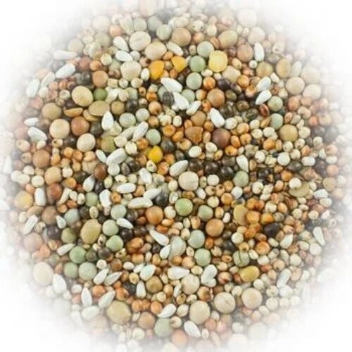 (1,36€/kg) FumyFutter Nr. 10 Rasse Spezial ohne Mais u. Weizen 25 kg Rasse Taube