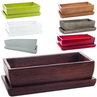 Keramik Blumentopf 29 - 33 Kakteenschale Untersetzer Kakteen Bonsai Sukkulenten - Bild 1 von 4