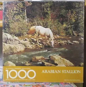 ARABIAN STALLION - Complete - SPRINGBOK PUZZLE - Picture 1 of 2