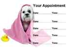 Groomer Grooming Cute Dog Personalised Appointment Cards