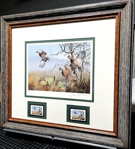 David Maass 1990 Texas Quail Stamp Print Double Stamps First of Series New Frame - Picture 1 of 8
