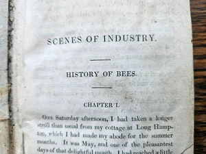 antique book history of bees bee keeping ? - Bild 1 von 9