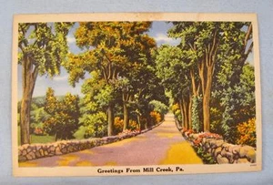 Greetings From Mill Creek PA Pennsylvania Grove Of Trees Road Postcard Color (O) - Bild 1 von 2