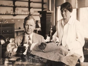 Philadelphia Medical Research Dr. Eliot Clark Kaninchen lebende Zellen altes Foto 1930 - Bild 1 von 4