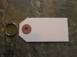 100 KEY TAGS W/ METAL RINGS THICK PAPER 3 1/4" X 1 5/8" GIFT MERCHANDISE PRICE  - Picture 1 of 1