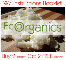 4 Tsp Happy California *Live* Cow milk kefir Grains - Bulgaros + Ship Tracking