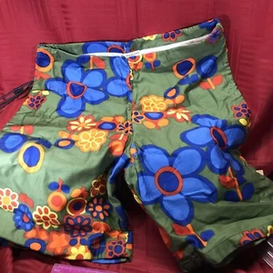 Vintage The Grubb Robert Bruce 1960’s Swim Trunks Size Small Groovy!! - Picture 1 of 7