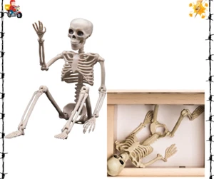 16" Einweg Kunststoff Skelett - Kleines Ganzkörperskelett für Halloween Deko - Bild 1 von 7