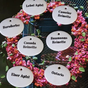 6 x Porzellan- Medaillons, Porzellan für Apfelsorten - Bild 1 von 9