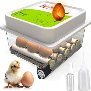 Incubators for Hatching Eggs - 12 Eggs - Egg Incubator with Automatic Egg Turnin - Picture 1 of 7