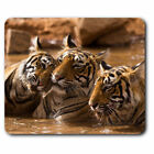 Computer Mouse Mat - Tiger Family Big Cat Office Gift #16512