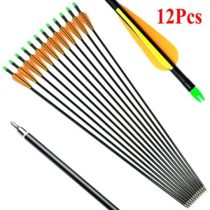 12Pcs 30inch Fiberglass Hunting Practice Arrows Removable Tips for Compound Bow - Picture 1 of 16