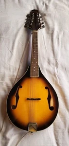 Johnson Mandolin Model MA-100  - Picture 1 of 9