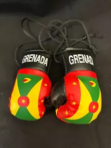 GRENADA MINI BOXING GLOVES - Roots - Hang in your Car ROOTS RASTA - Picture 1 of 1