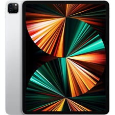 Apple iPad Pro 12,9" 2021 5th gen 128GB Plata POCO USADO