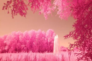 Infrared 470nm Filter 49mm for the pinkest of pinks ** Watch Video ** - Picture 1 of 24