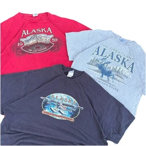 3-Pack Mystery Destination T-Shirt Bundle | Tourist Travel Thrifted Graphic - Imagen 1 de 5