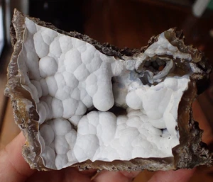 Botryoidal Fossil Coral Geode Fragment GA Agate Fluorescent Specimen Sea WC307 - Picture 1 of 7