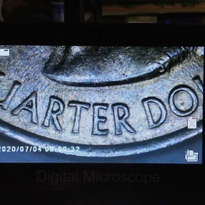 Error 2014p Everglades Quarter~DDO - Picture 1 of 6