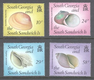 South Georgia Mint MLH OG Sc# 127/130 SG# 179/182 sea shells set  1988 - Image 1 of 2