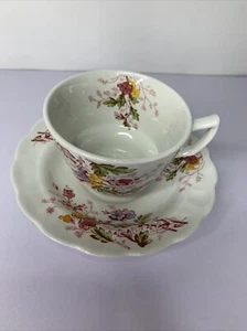 Ridgway Tasse & Untertasse English Garden Staffordshire England Ironstone (I-148) - Bild 1 von 4
