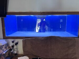6ft fish tank in wall with sump tank