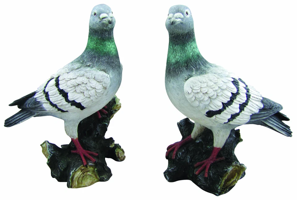 - SENZA MARCA/GENERICO – PICCIONE in resina animale da giardino