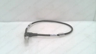 BELDEN RJ45 G-RJ45 G- 0,5 M #342333 Foto 1 de 3