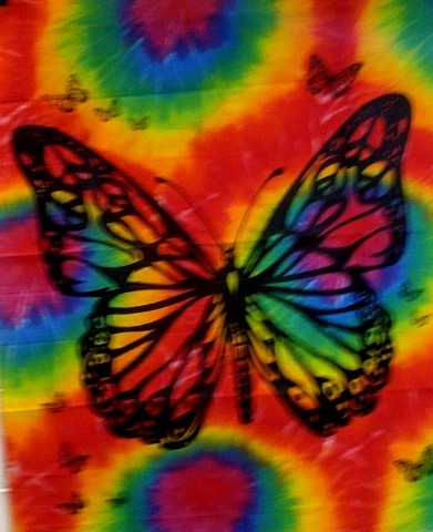 BUTTERFLY -Screen-Printed/Banner /Tapestry/Flag 40"x46" on Tie_dye fabric Cover