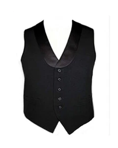 Men's Black Polyester Server Vest with Satin Shawl Lapel - Picture 1 of 1