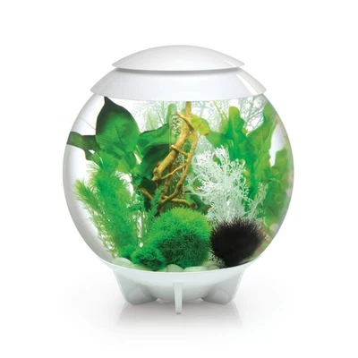 Oase biOrb HALO 30 MCR weiß Dekoration Aquarium Design - Bild 1 von 3