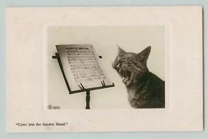 POSTCARD POSTCARD CAT - YAWNING AT SHEET MUSIC ARISTOPHOT REAL PHOTOGRAPH RPPC - Picture 1 of 2