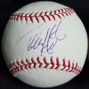 Torii Hunter Minnesota Twins Angels signed Selig ROMLB baseball BLEM blemished - Picture 1 of 2