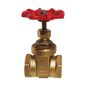Red-White 206AB 1/2 inch IPS Low Lead Brass Threaded Gate Valve - Picture 1 of 1