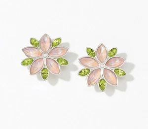 💎Touchstone Crystal Earrings Multicolor Rhodium New Condition - Picture 1 of 3