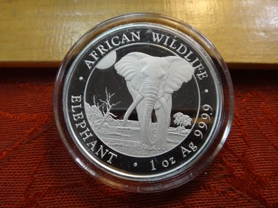 2025 Somalia Elephant African Wildlife 1 Oz 0.9999 Silver Coin - No Reserve - Image 1 of 3