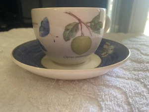 Vintage Retired D/C'd WEDGWOOD SARAH’S GARDEN Queens Ware Teacup & Saucer - Picture 1 of 6