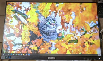 PHILIPS 243B1 24IN CLASS FULL HD LCD MONITOR 60Hz - Image 1 of 3