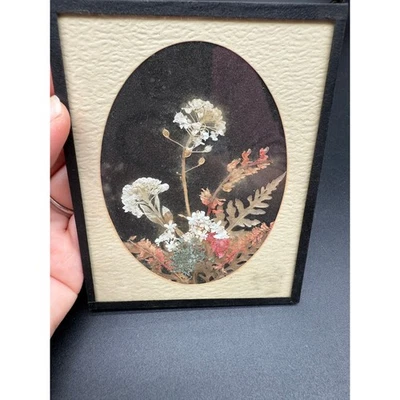 Arte floral prensado vintage enmarcado frente de vidrio mate ovalado bosque botánico Foto 1 de 4