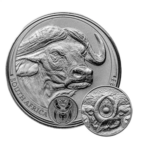 2023 1 Unz Südafrika Big Five Buffalo Silbermünze - Bild 1 von 4