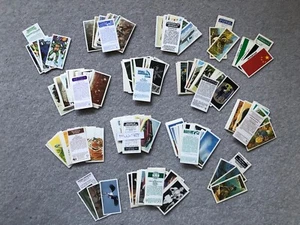 CIGARETTE CARDS INCLUDING FULL SET OF HISTORY OF THE MOTOR CAR - Picture 1 of 9