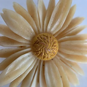 Celluloid Daisy Brooch Pin Costume Jewelry vintage pin back carved cream yellow - Bild 1 von 12